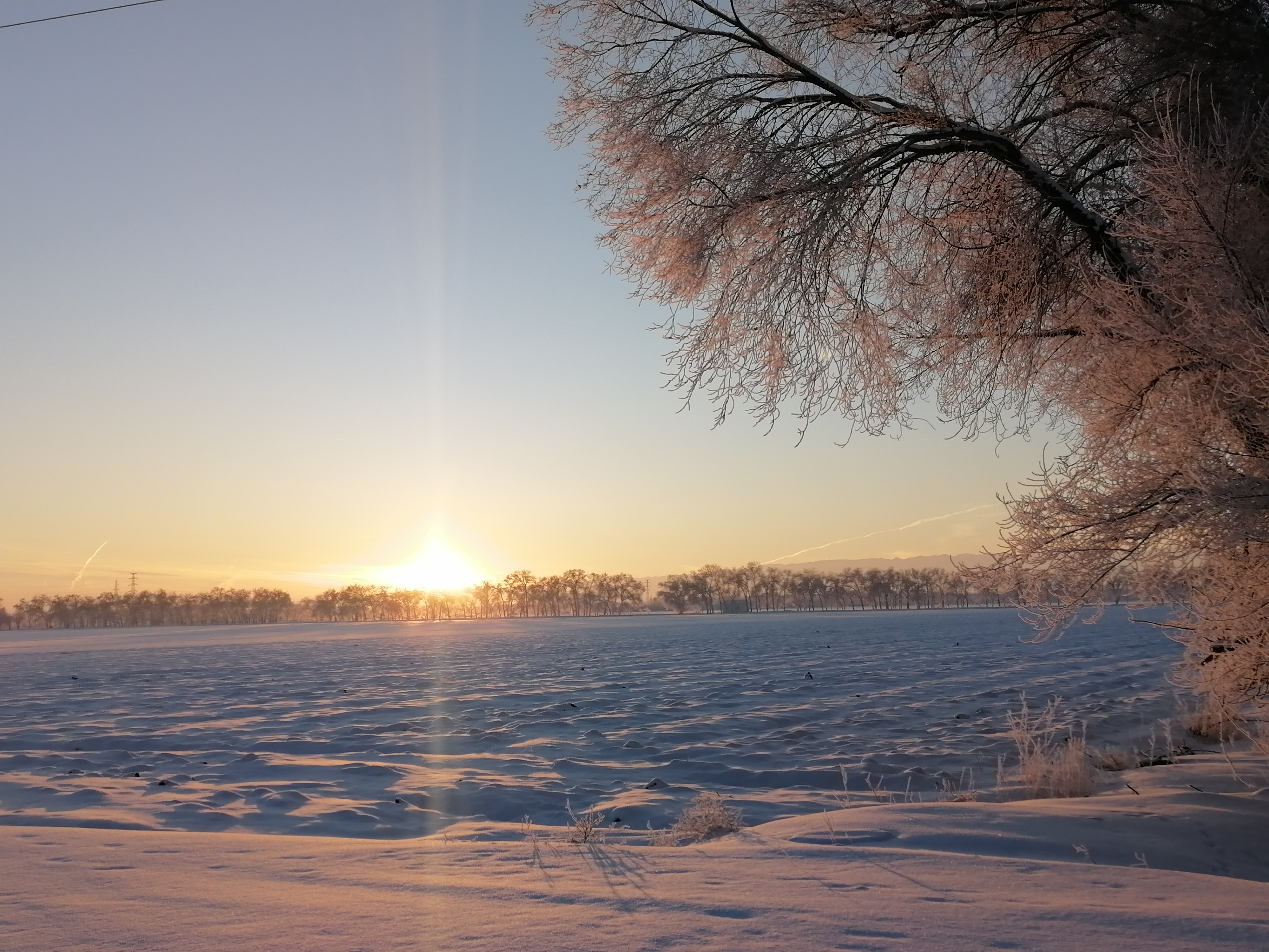 IMG_20221220_094901.jpg